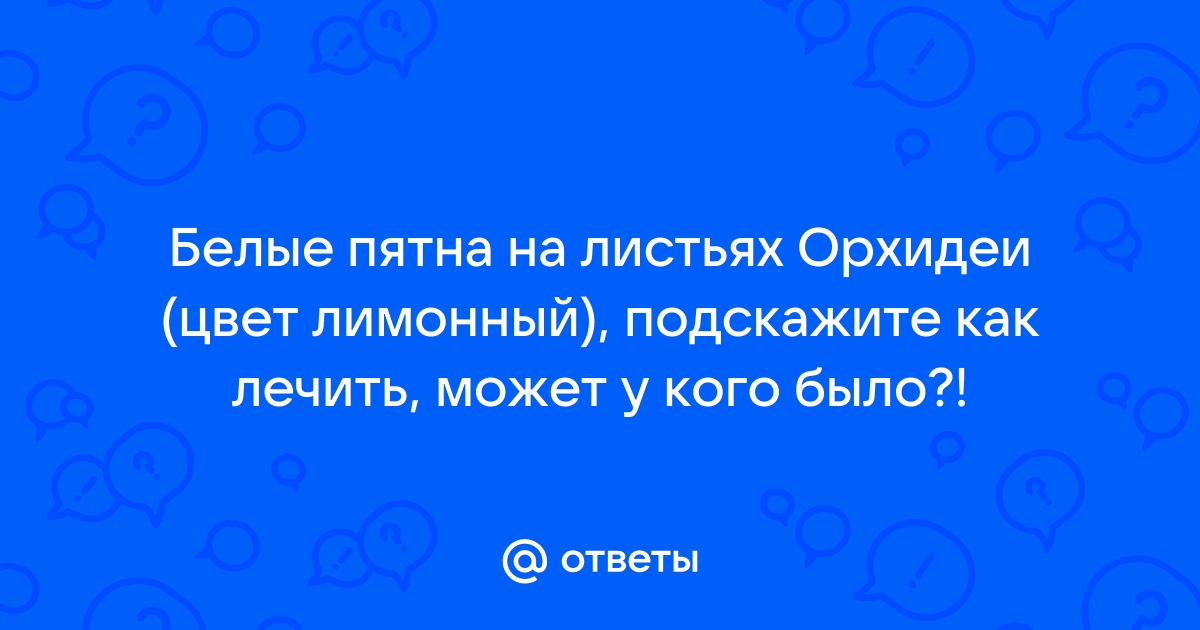 Белые пятна на листьях орхидей — причины появления и лечение