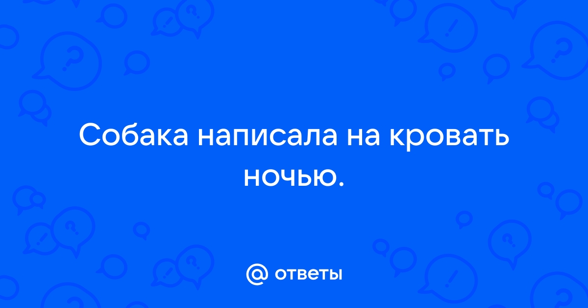 Собака ночью написала на кровать