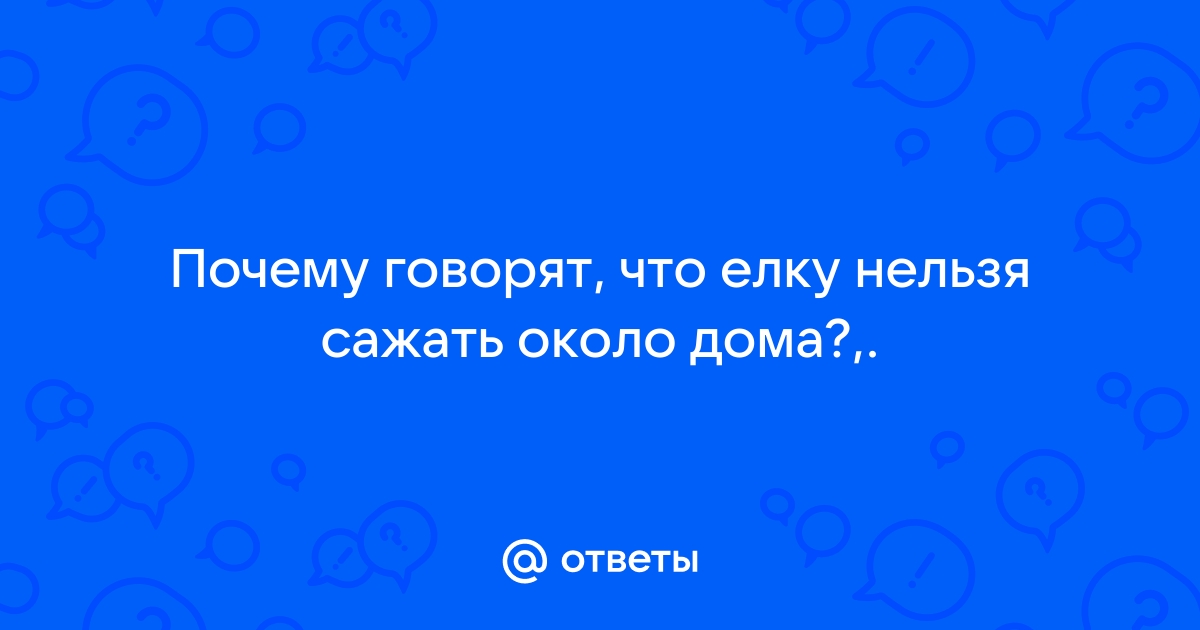 «Можно ли сажать елку на участке около дома, какие есть приметы?» — Яндекс Кью