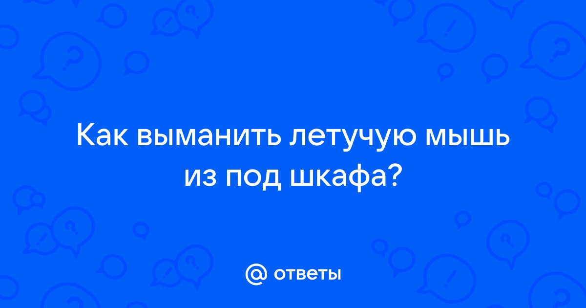 Как выманить мышь из за шкафа