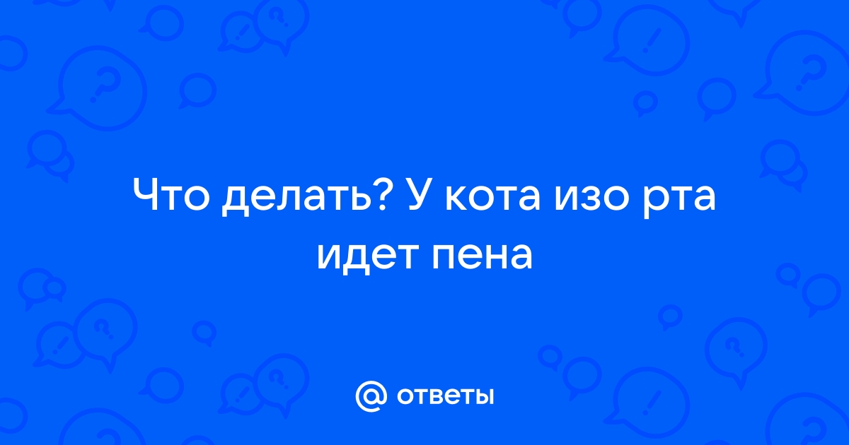 Первая помощь при отравлениях, чем могут отравиться животные