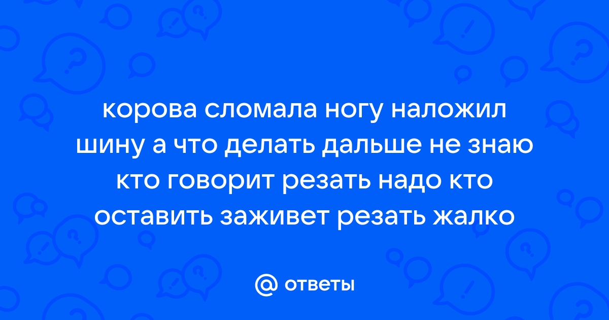 Болезни копыт у коров и их лечение причины, как и чем лечить | Спаси Господи | Дзен