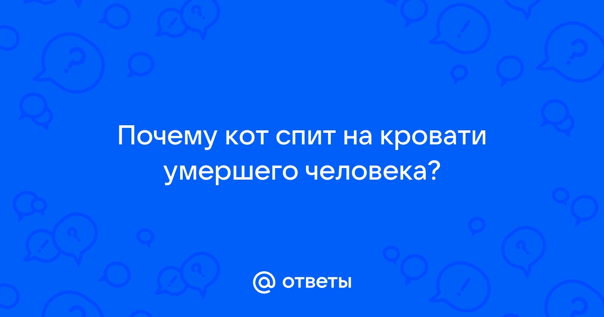 Кот спит на кровати умершего