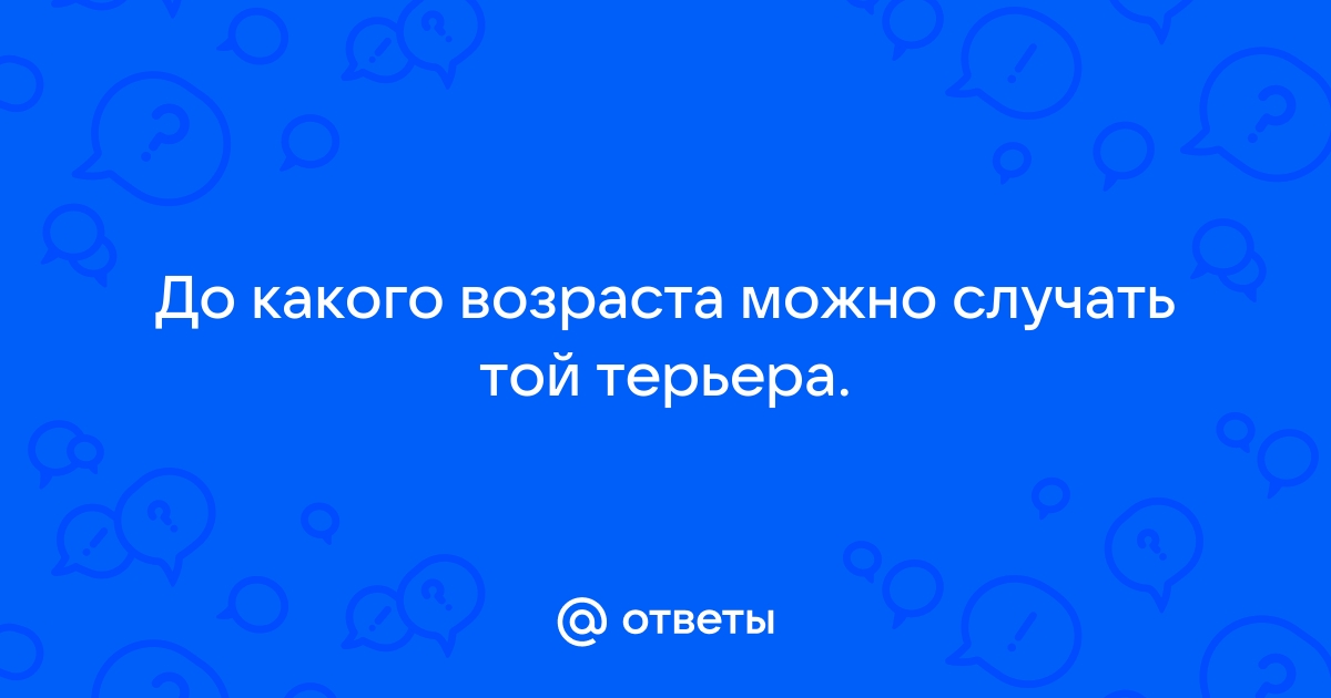 До какого возраста можно вязать суку? - Все по ВСЛ - Собаки и охотничье собаководство