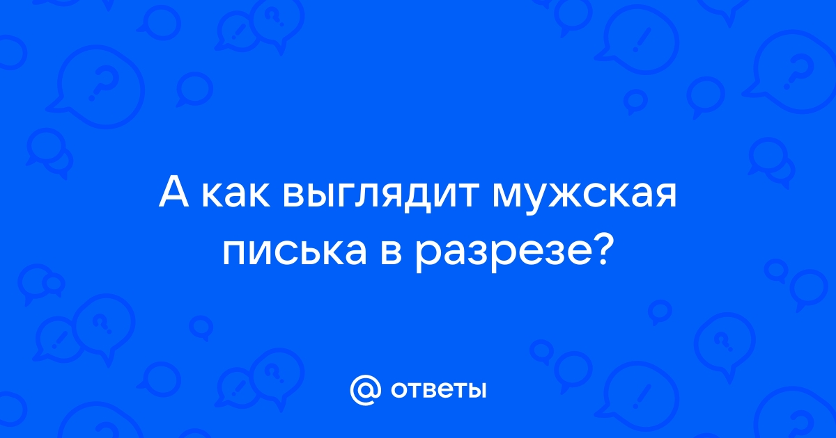 Подробный разбор плюсов и минусов обрезания у мужчин