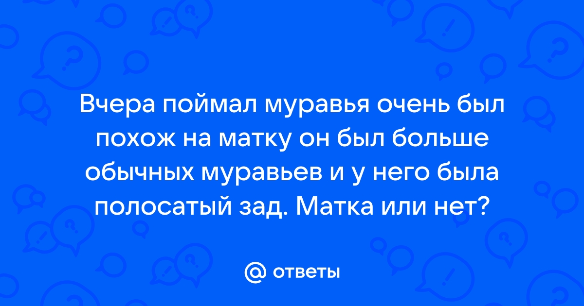 Герой нашего времени - Кислая жопа муравья - слушать песню онлайн бесплатно на s-tsm.ru