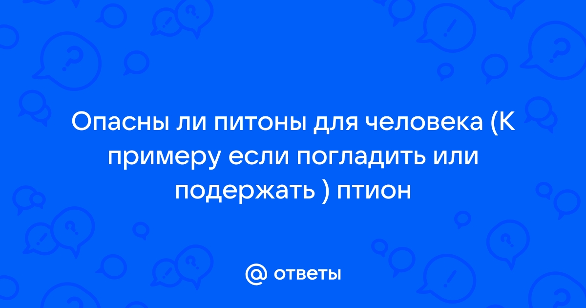 Презентация про пайтон