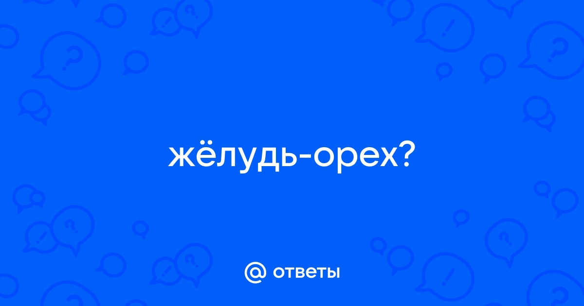 ГДЗ Стр. Биология 6 класс Пасечник. Линейный курс | Гарантия хорошей оценки ✅