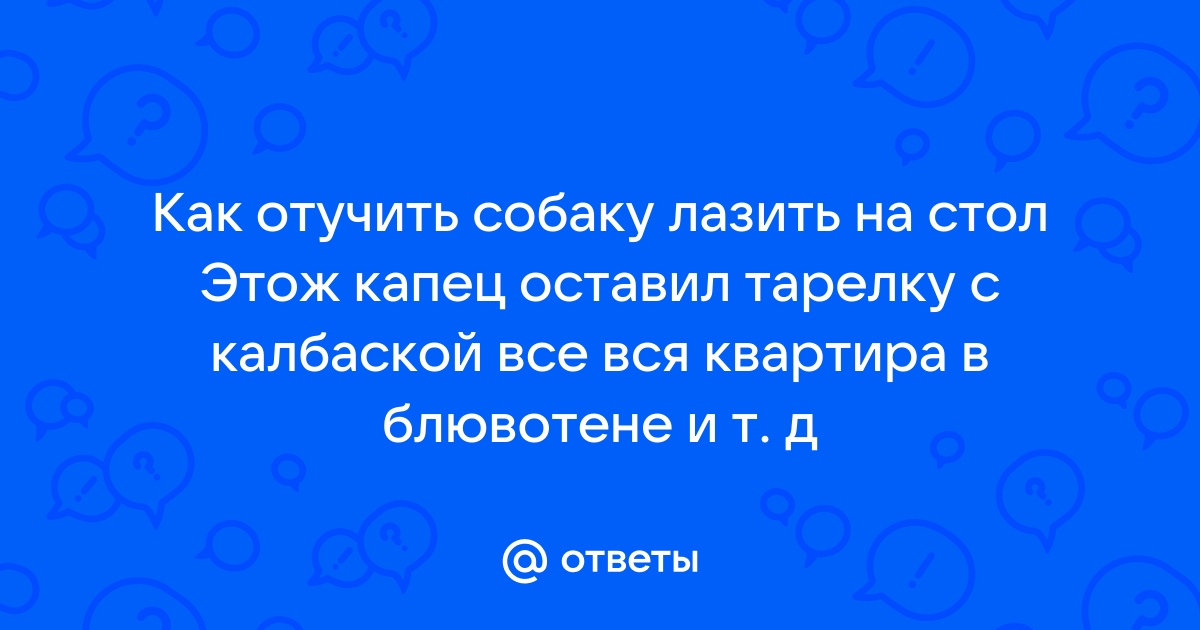 Отучить собаку лазить на стол