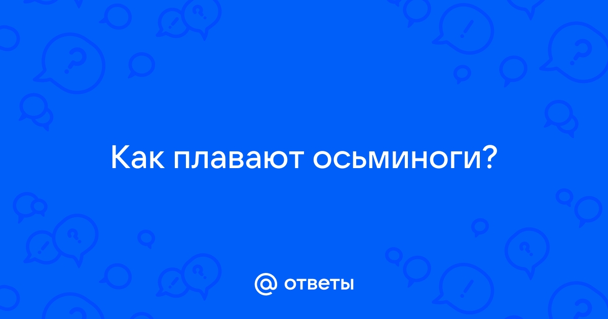 Приложение с осьминогом как называется