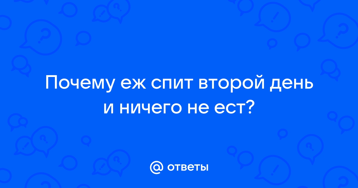 Вк ест качество фото что делать