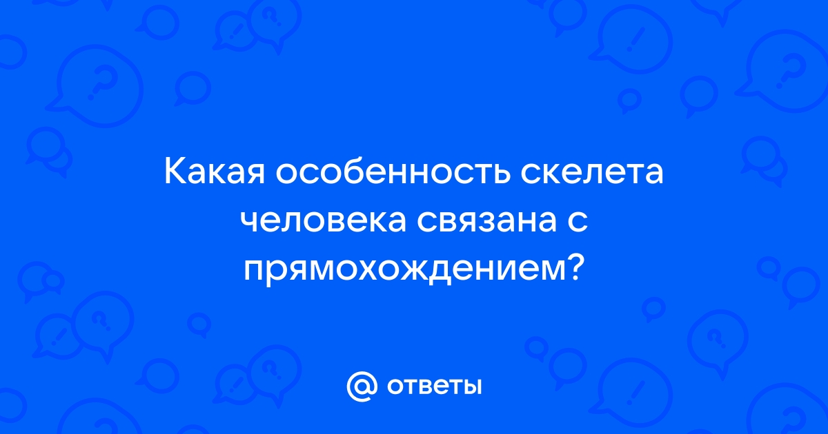 Преимущества и недостатки, связанные с прямохождением