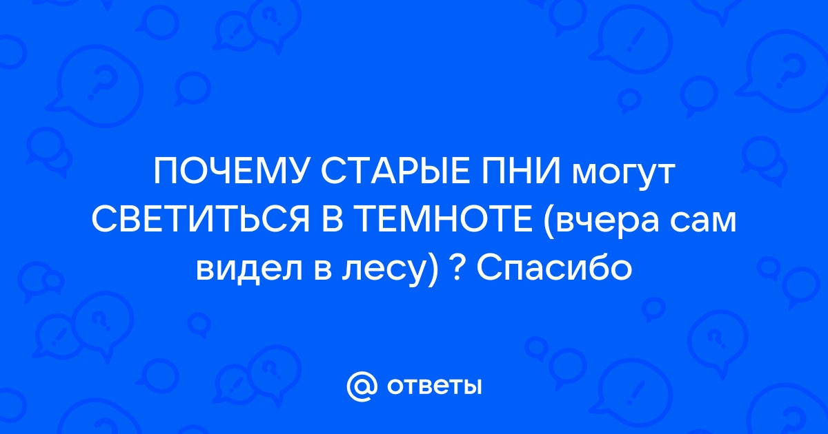 Почему светится сгнившее дерево?