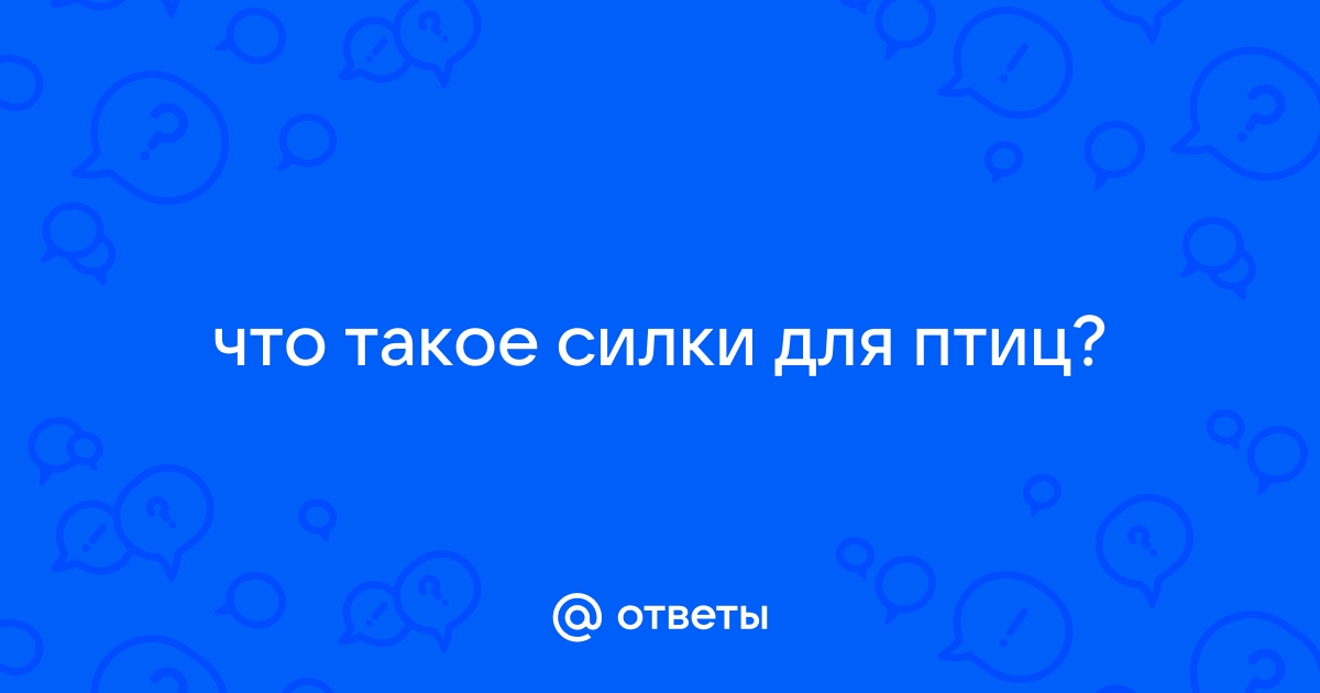 Ответы Mail: что такое силки для птиц?