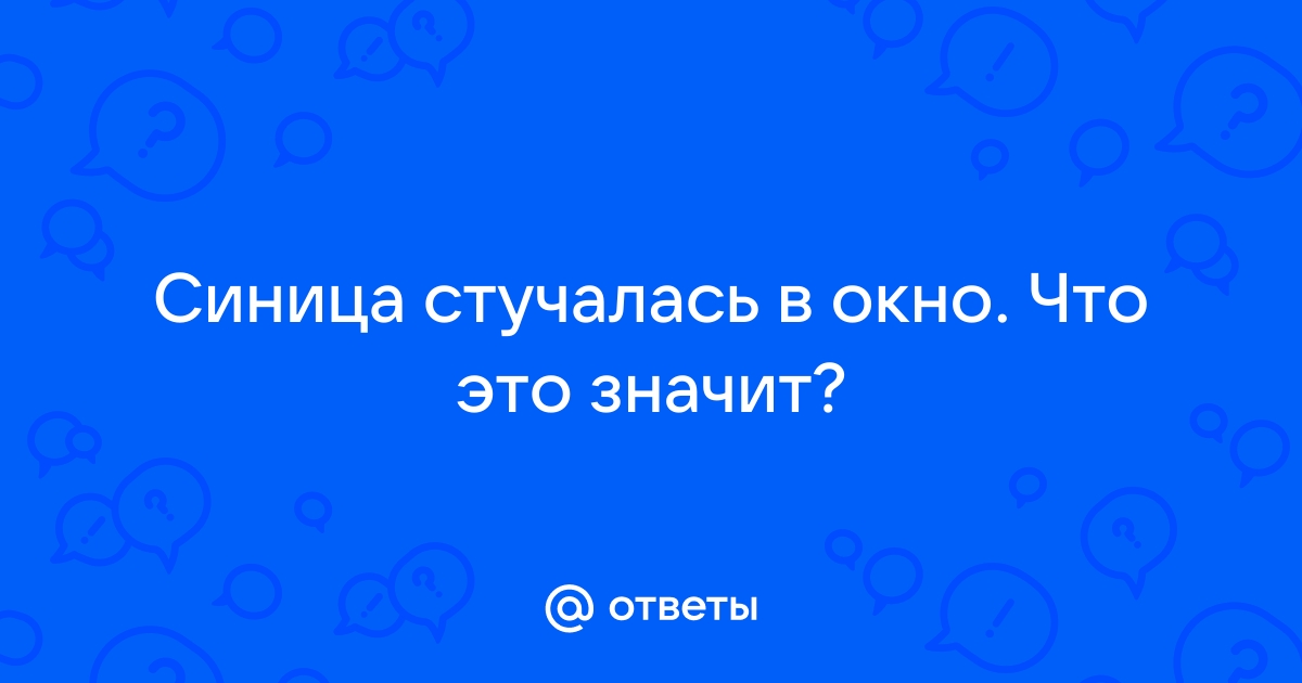 К чему синица стучит в окно дома