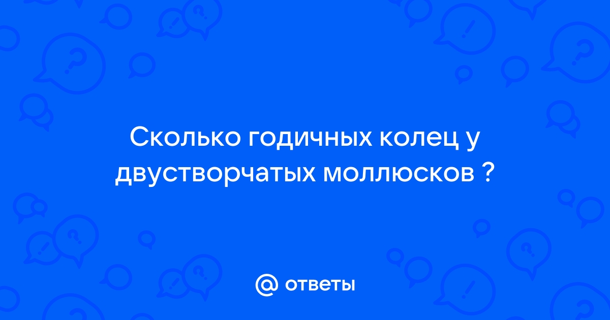 Обливион сколько колец можно одеть