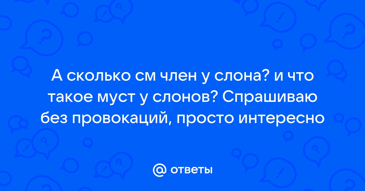 Пизда слонихи зоо видео смотреть