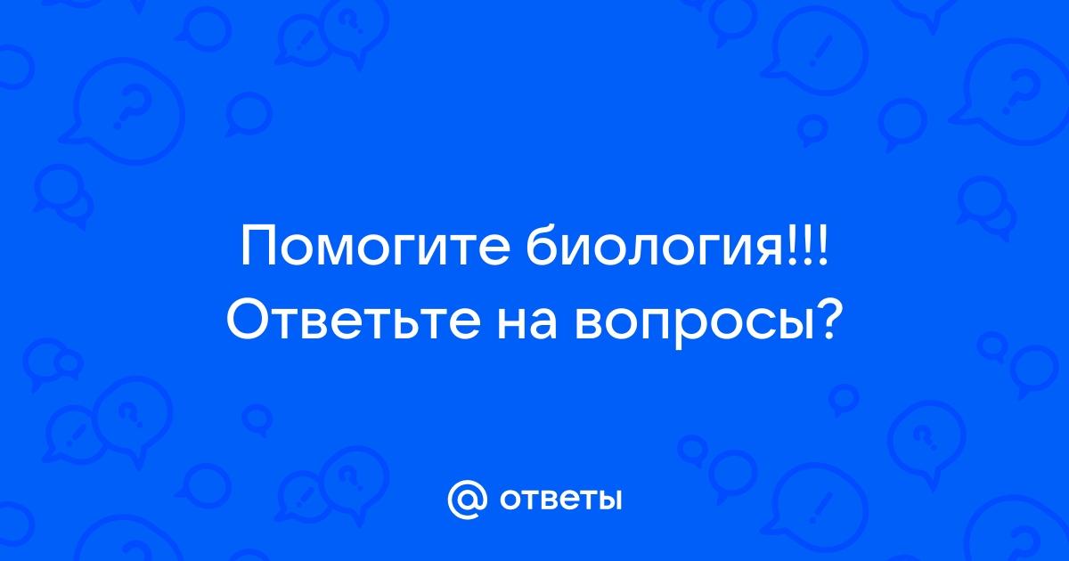 Фасция — удивительная ткань - Йога студия Сидерского