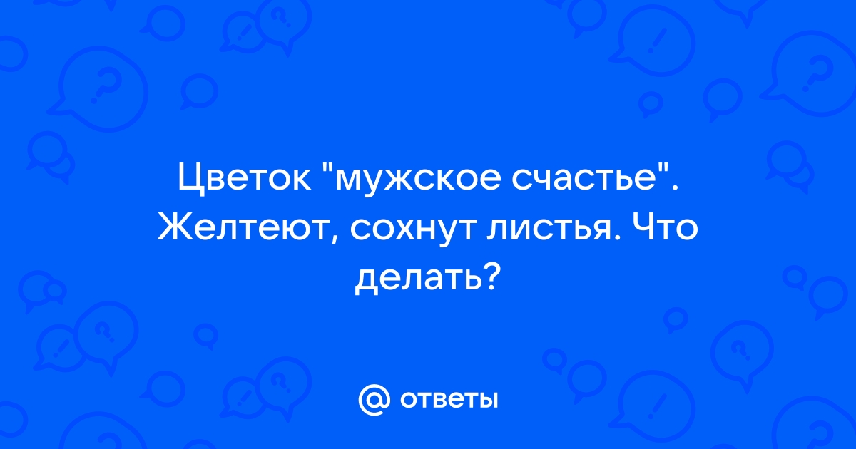 Как реанимировать погибающий антуриум?