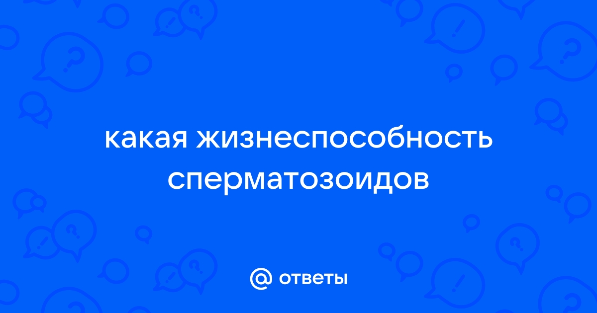 «Сколько сперматазоиды живут в слюне ?» — Яндекс Кью