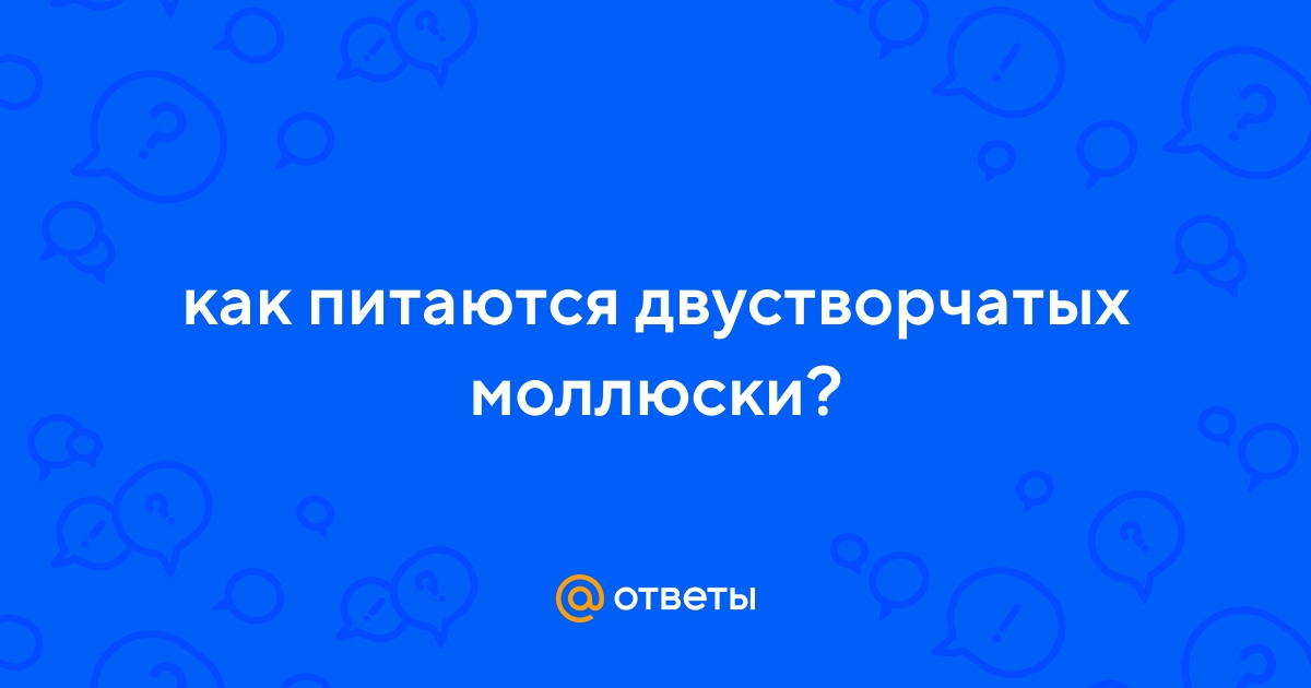 Ответы Mail.ru: как питаются двустворчатых моллюски?