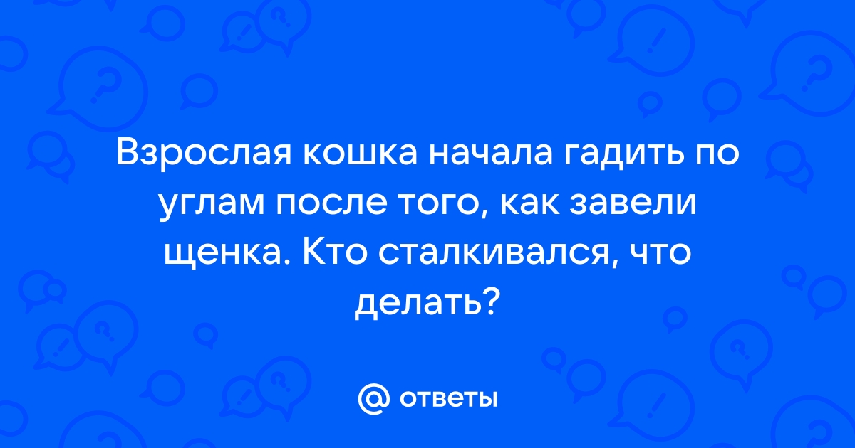 Кошка гадит. Как отучить кошку гадить? | НПК 