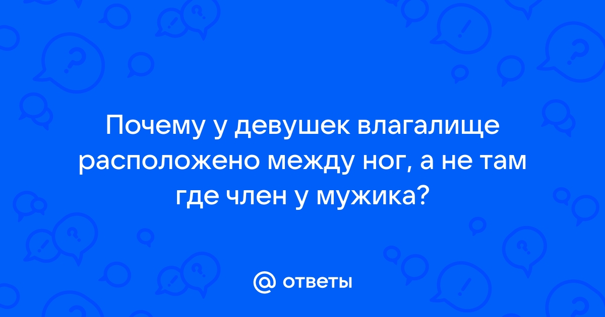 Строение женских половых органов