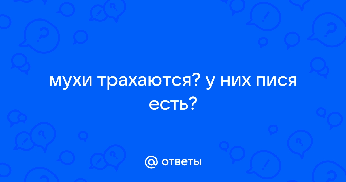 Вы точно человек?