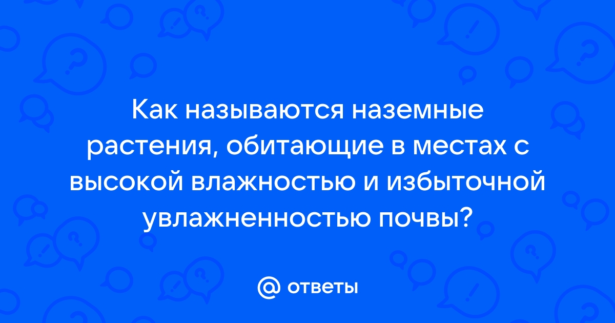 Значение пойменных растений