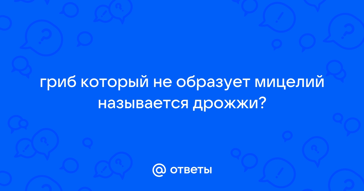 Псевдомицелий дрожжей Brettanomyces