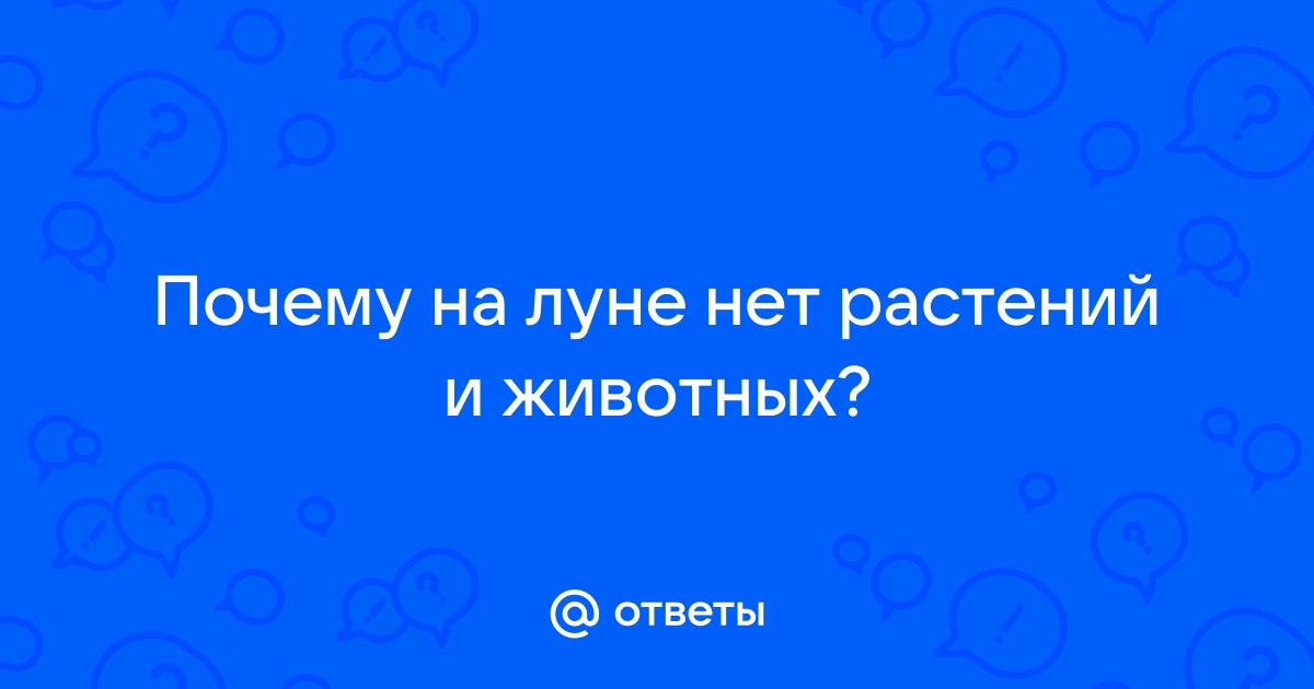 Почему нет приложения фонбет