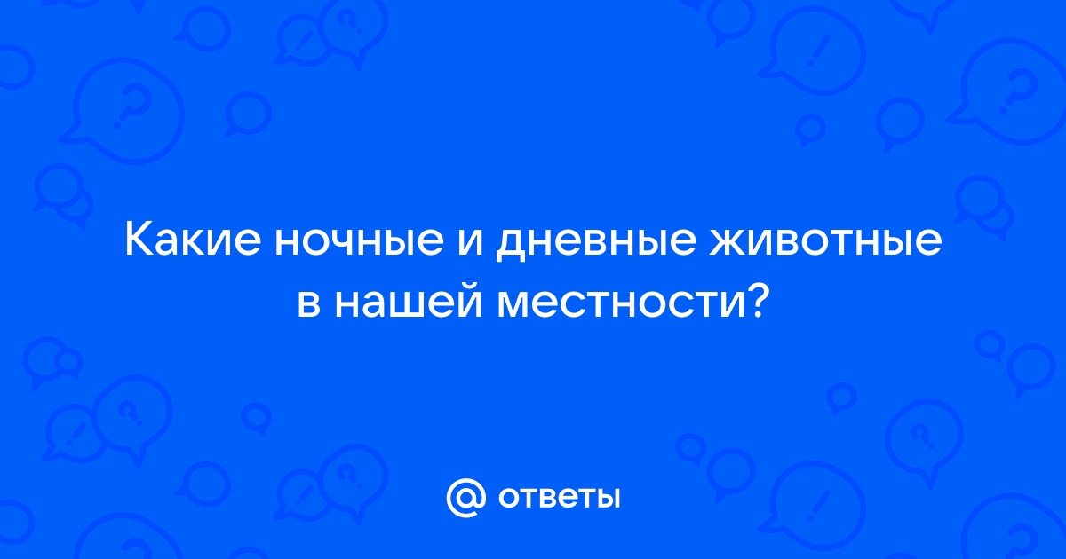 Дневные и ночные обои