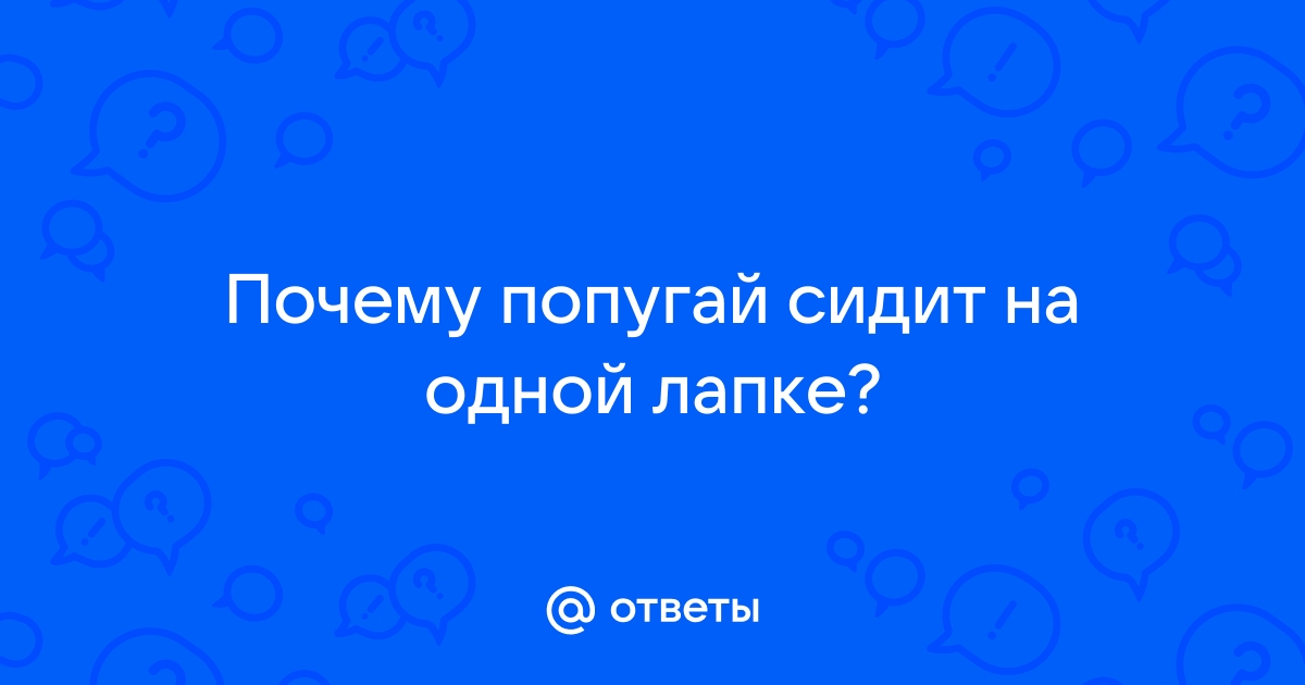 Почему попугаи стоят на одной ноге? - tulparkazan.ru