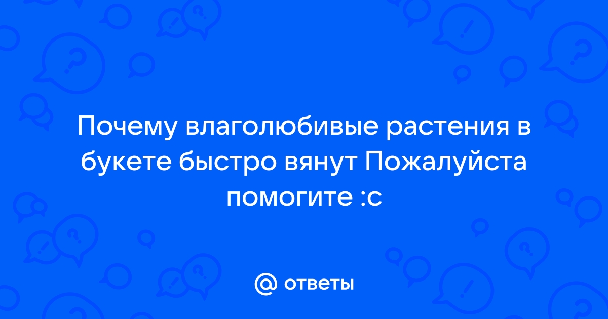 Употребляет настоящие кладовые они быстро вянут