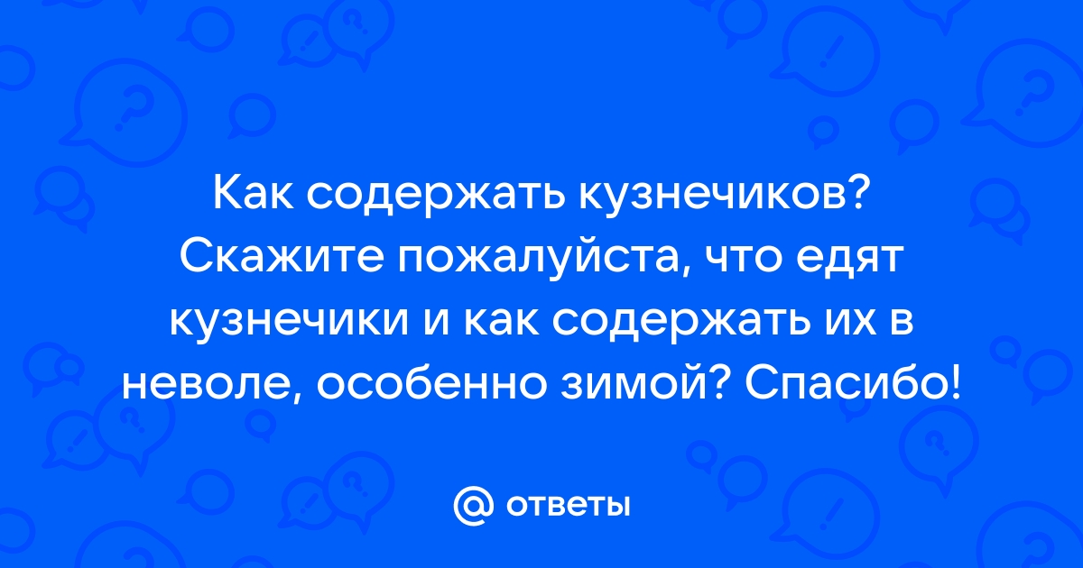 Чем питается кузнечик? 🤓 [Есть ответ]