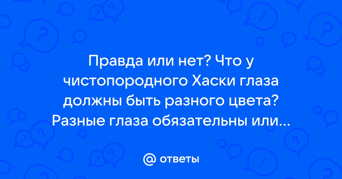 Почему у собаки разные цветом глаза? Гетерохромия: мифы и реальность | Dog Breeds | Дзен