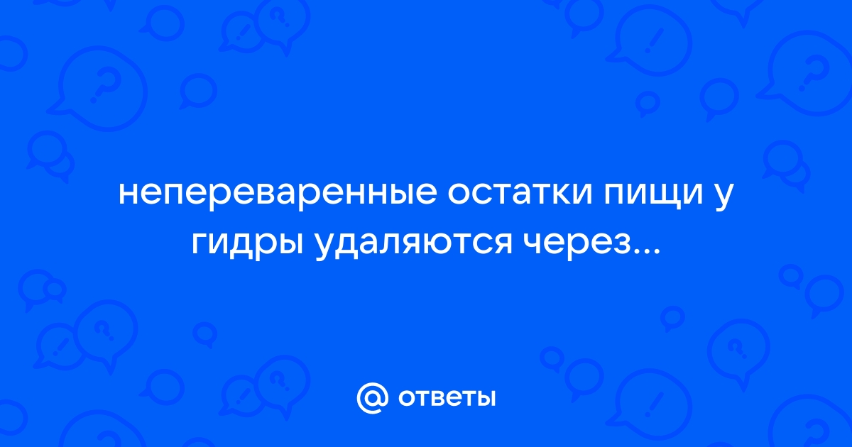 Непереваренные остатки пищи удаляются из организма через