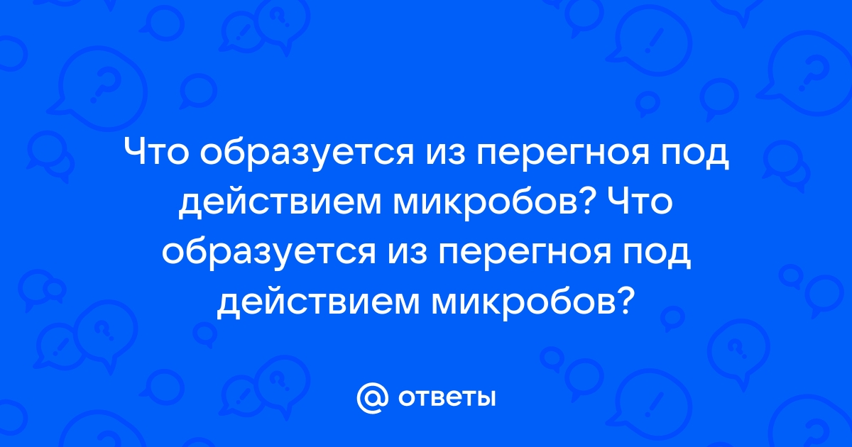 Из перегноя под воздействием микроорганизмов образуются