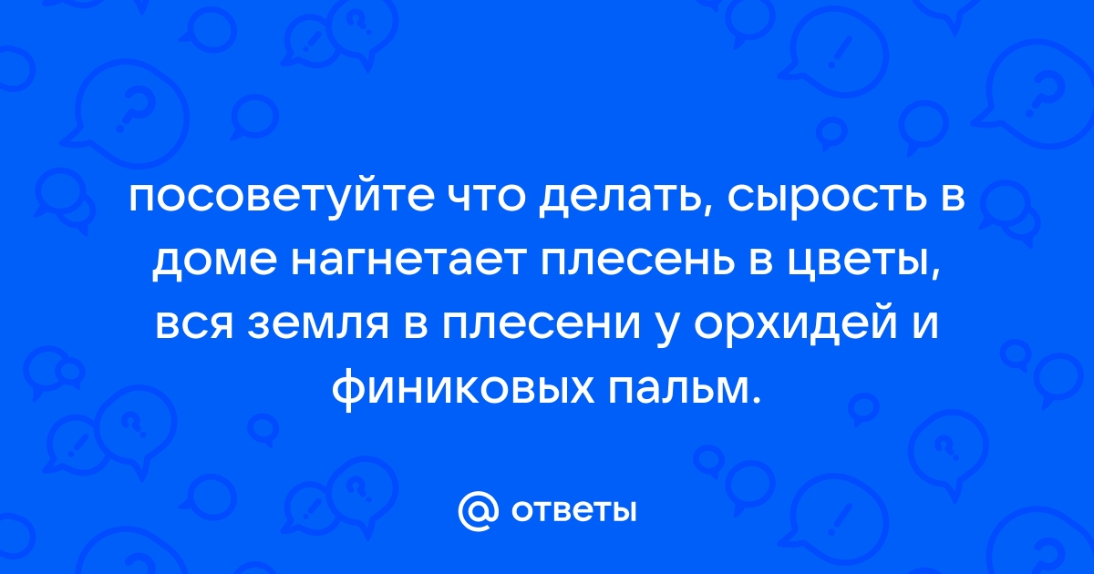 Плесень на комнатных растениях: как бороться с проблемой?