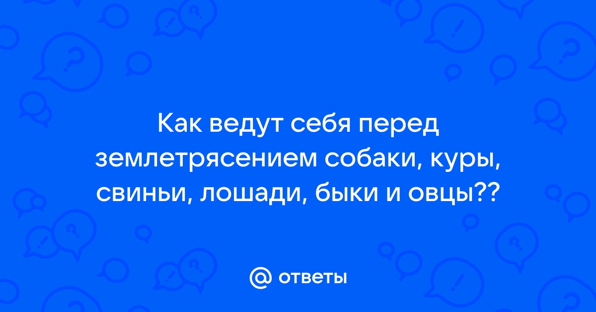 Как ведут себя москвичи