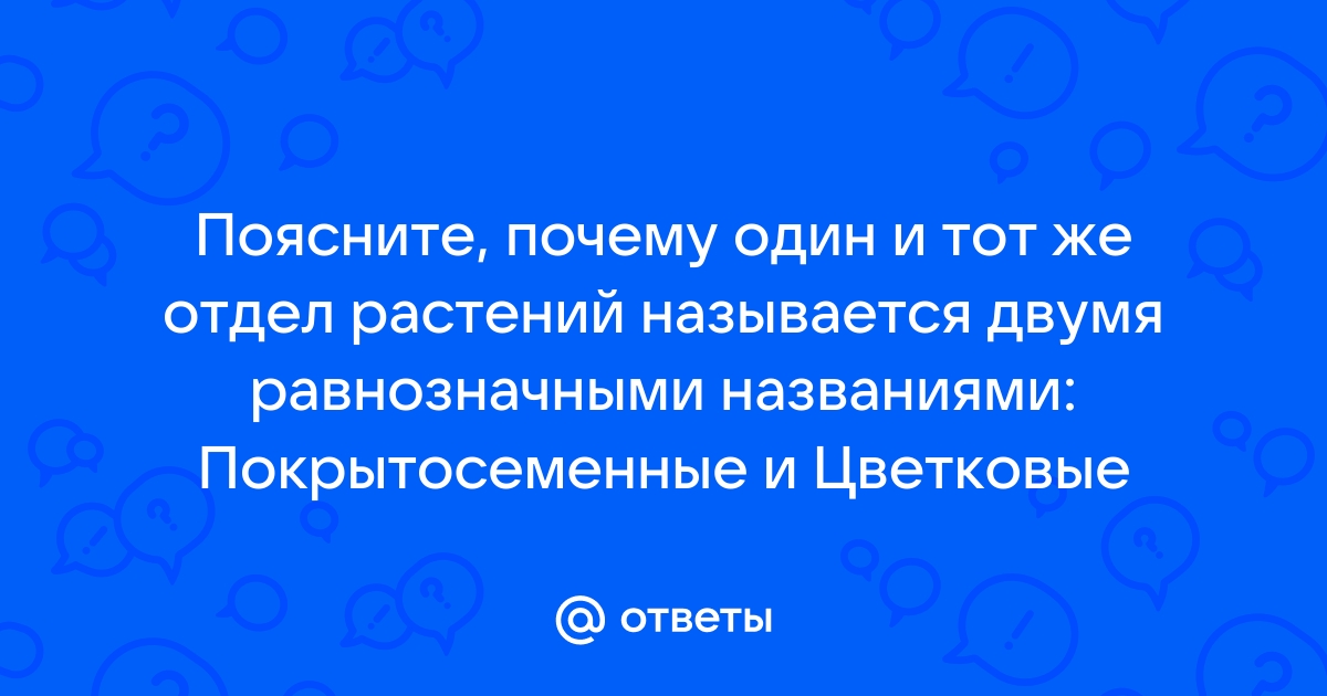 Договор о функционировании Европейского Союза (новая редакция)