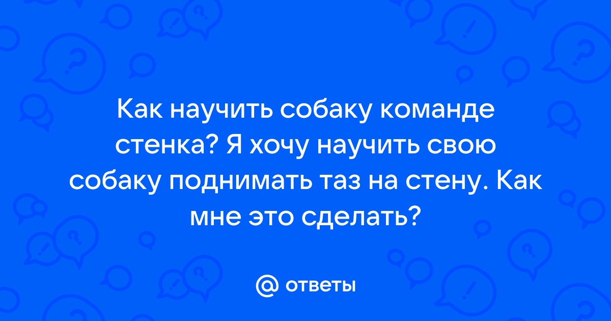 Как научить собаку ставить задние лапы на стену