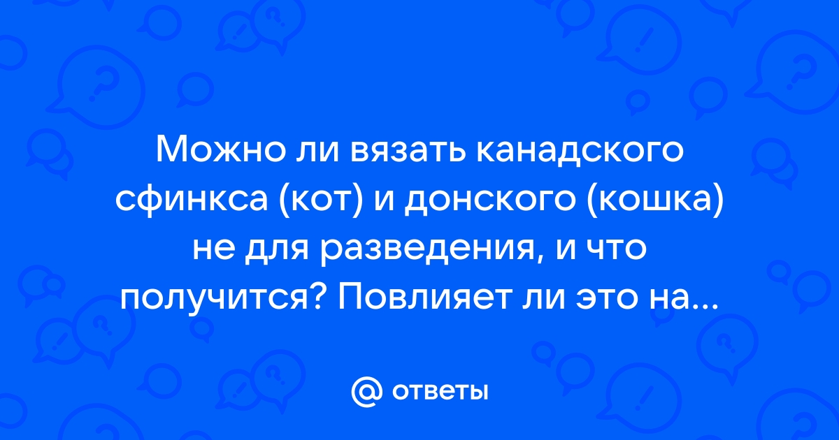 Все, что нужно знать о разведении канадского сфинкса