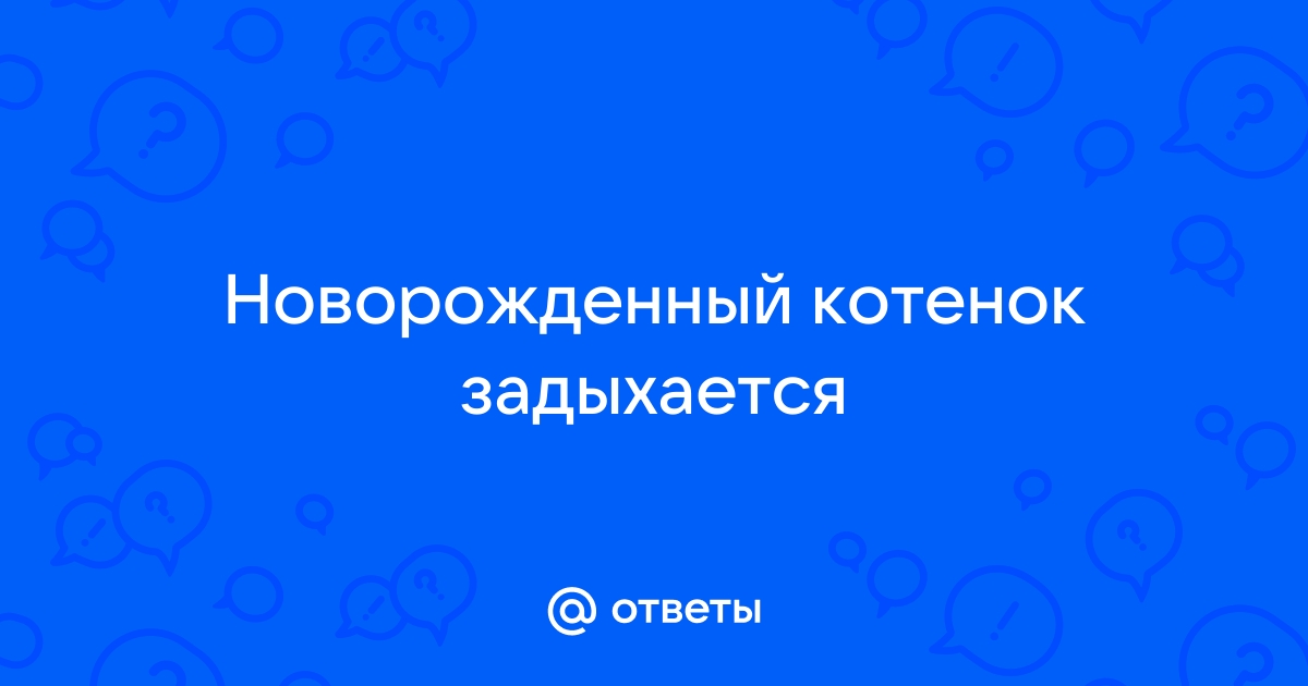 Что делать, если кошка подавилась: причины и первая помощь