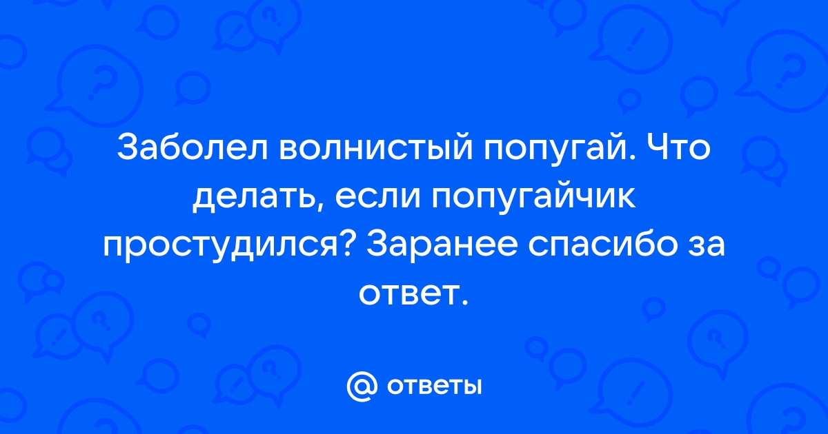 Как помочь попугаю, если он заболел