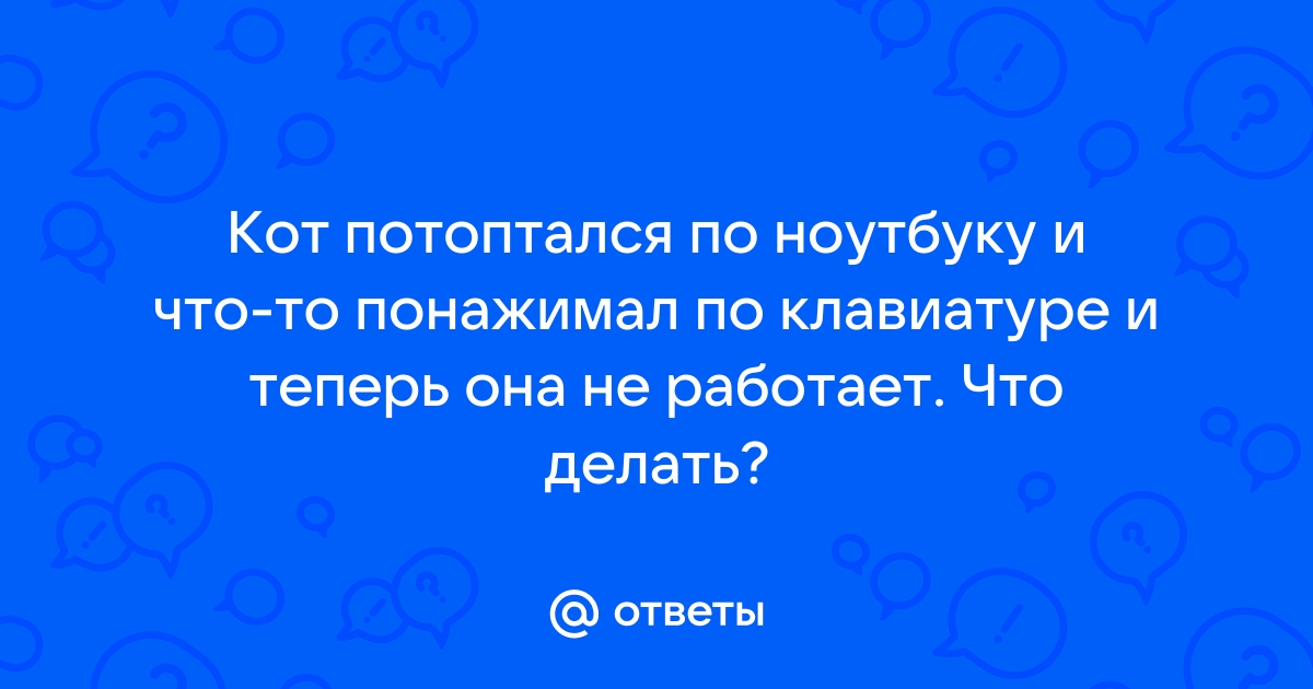 Кошка прошла по клавиатуре и теперь она не работает