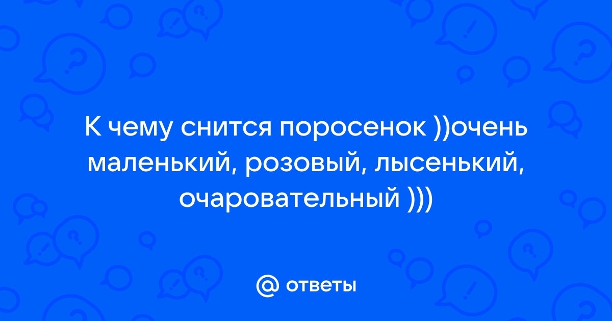 К чему снится 😴 Поросенок во сне — по 90 сонникам! Если видишь во сне Поросенок что значит?