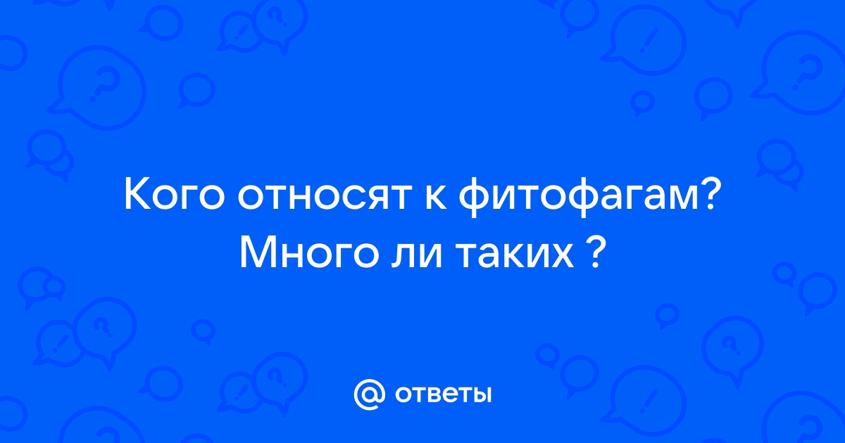 Чем отличается бета фазмофобия