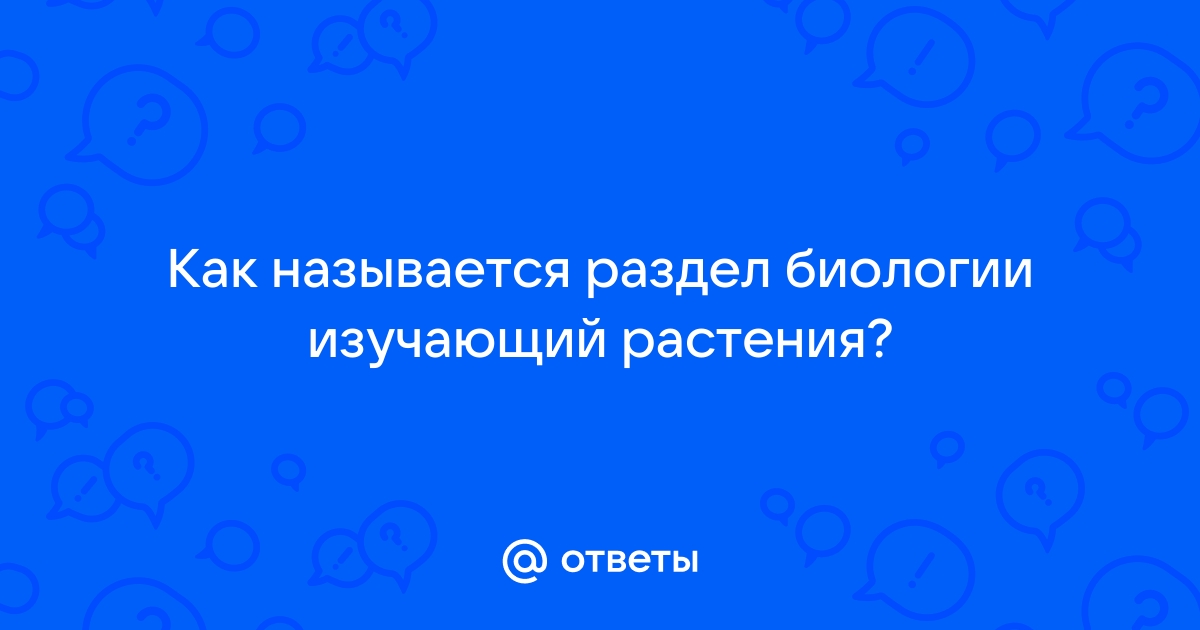 Разделы изучения растений в биологии