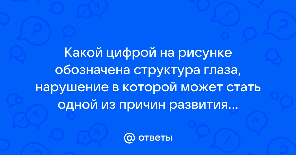 Какой цифрой на рисунке обозначен дендрит ответ